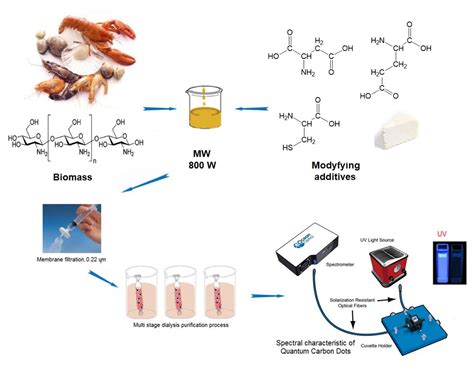 Chitosan-Based Carbon Quantum Dots for Biomedical Applications ...
