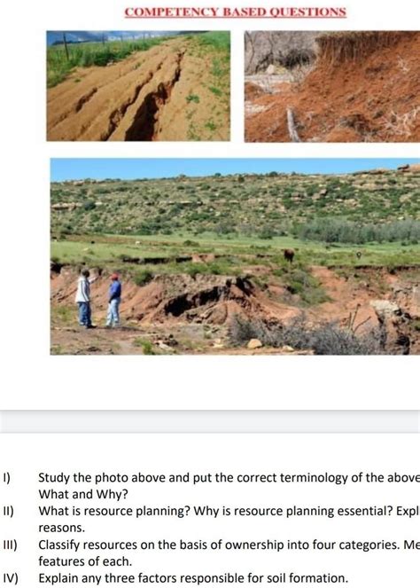 I) Study the photo above and put the correct terminology of the above ...