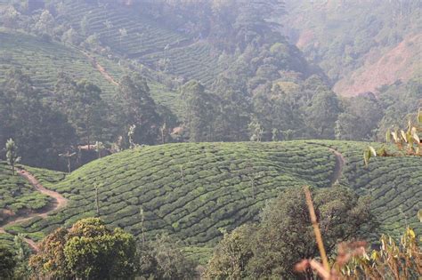 Pothamedu Tourism (2024): All You Need to Know Before You Go