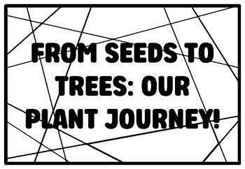 FROM SEEDS TO TREES: OUR PLANT JOURNEY! Kindergarten Science Coloring ...