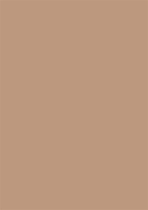 Solid Taupe Background