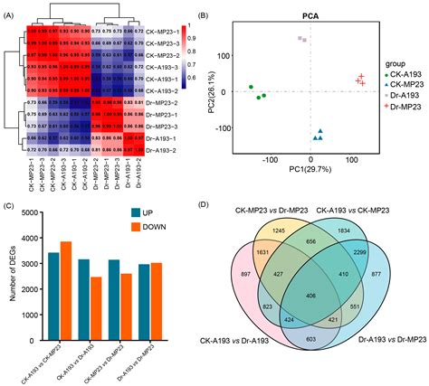 Comparative Genomic and Transcriptomic Analysis Uncovers Metabolic ...
