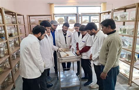 Sardar Vallabhbhai Patel University of Agriculture & Technology , Meerut