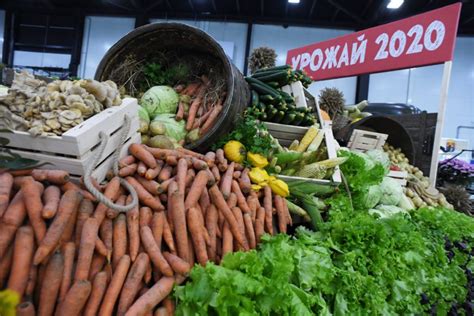 В Петербурге открыли выставку-ярмарку «Агрорусь» | ПРОДУКТ медиа