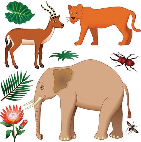 Image result for African Python Clip Art