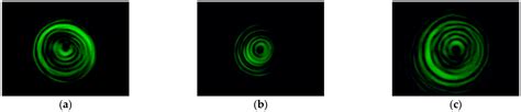 Generalized Asymmetric Hermite–Gaussian and Laguerre–Gaussian Beams