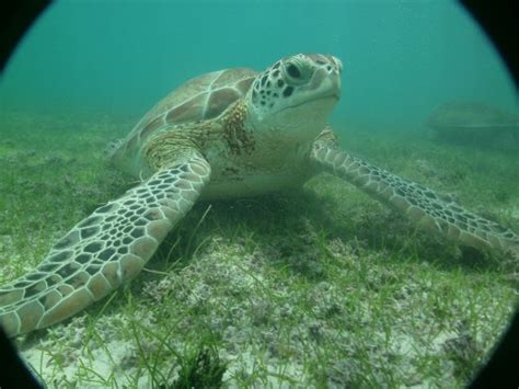 Muyil Magico Tours (Riviera Maya) - All You Need to Know BEFORE You Go