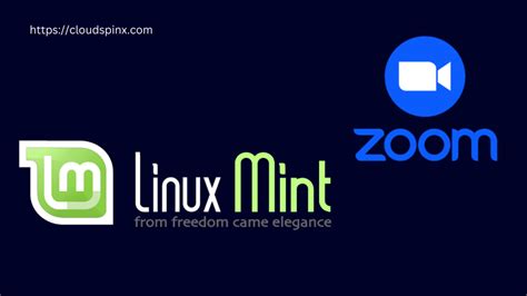 Zoom Client Linux 的图像结果