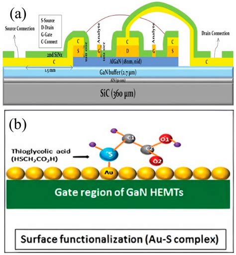 Review of the AlGaN/GaN High-Electron-Mobility Transistor-Based ...