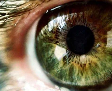 From Symptoms To Treatment, Here Is Everything To Know About Night ...