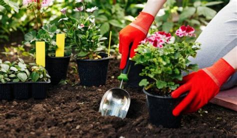 Sustainable Gardening Practices - Urban Plants - Urban Plants™