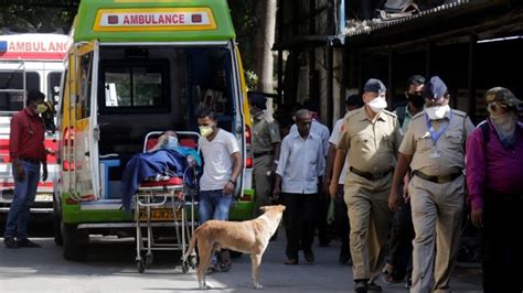 Coronavirus In India: 800 Million Indian People Might Be Infected With ...