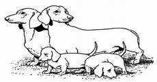 hunde ausmalbilder kostenlos ausdrucken ausmalbilder hunde kostenlos malvorlagen zum ausdrucken hunde ausmalbilder kostenlos ausdrucken ausmalbilder hunde kostenlos malvorlagen zum ausdrucken