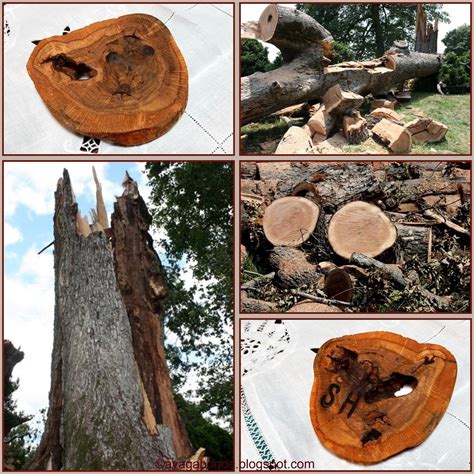 Recollections of a Vagabonde: Rippavilla Plantation in Tennessee