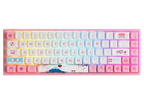 Buy Akko3068B Plus R2 Tokyo RGB Mechanical Gaming Keyboard, Multi Modes ...