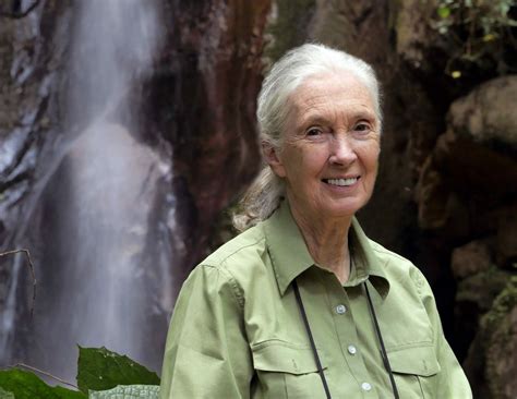 Jane Goodall cumple 90 años hoy: casi un siglo de sabiduría ...
