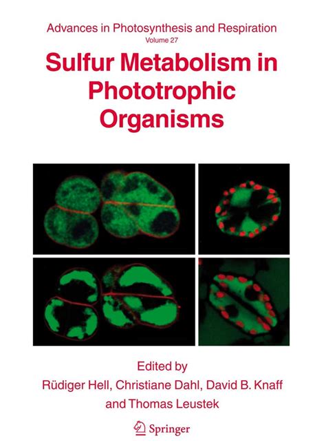 Buy SULFUR METABOLISM IN PHOTOTROPHIC ORGANISMS: 27 (Advances in ...