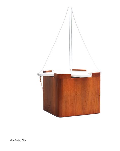 Image result for Make a Simple Stringed Instrument