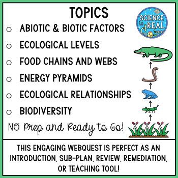 Ecology Examples 的图像结果