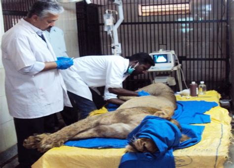 Official Website: ICAR-IVRI Izatnagar