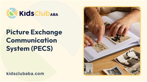 PECS Communication Examples 的图像结果