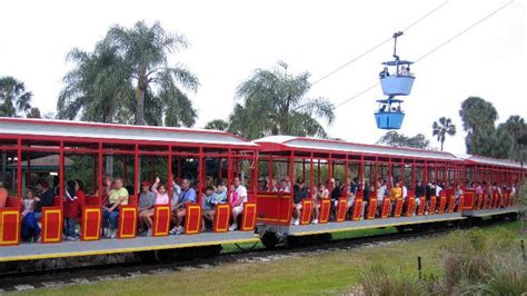 Busch Gardens Serengeti Safari, tampa, United States Of America - Top ...