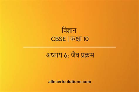 Class 10 Chapter 6 Explained 的图像结果