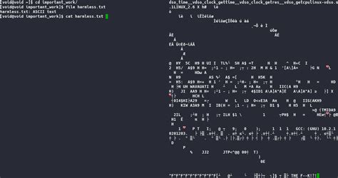Image result for Command Line Interface Shell