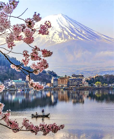 Image result for Japan Java