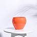 UGAOO Apple Ceramic Pot - Big (Orange) : Amazon.in: Garden & Outdoors