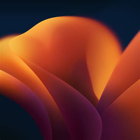 Iphone 16 Default Wallpapers