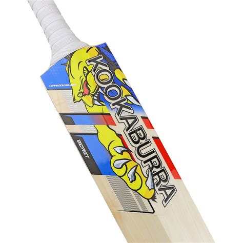 Glenn Maxwell Beast Cricket Bat in India | Power Hitter’s Choice ...