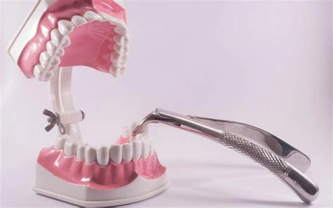 Image result for Basic Tooth Extraction