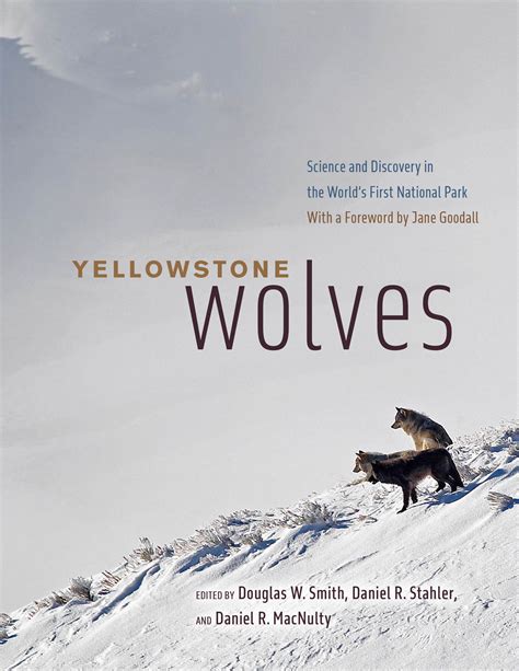 Yellowstone Wolves: Science and Discovery in the World’s First National Park, Smith, Stahler ...