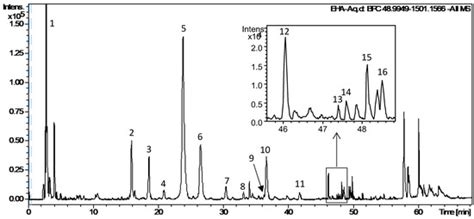 Cytotoxic and Pro-Apoptotic Effects of Leaves Extract of Antiaris ...