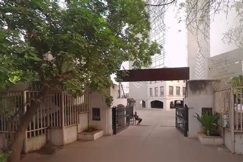 Som-Lalit Institute of Computer Applications Ahmedabad BCA Review by ...