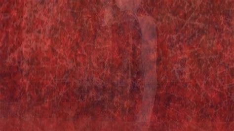 Computer Virus 1.0 and the Return of Lazarus | Meer