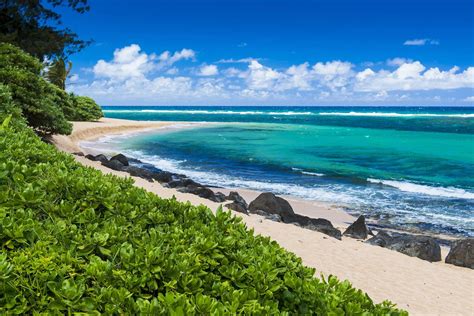 Diving in the United States Minor Outlying Islands | PADI