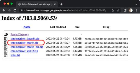Install Selenium Python 的图像结果