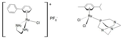p-Cymene Complexes of Ruthenium(II) as Antitumor Agents