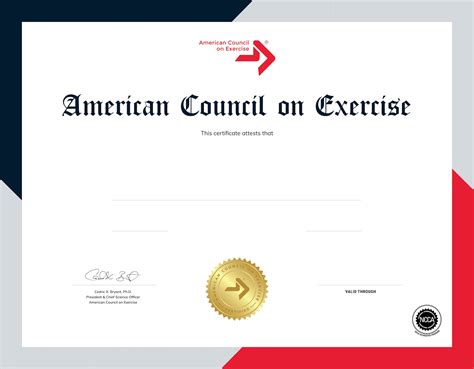 what is ace certified personal trainer