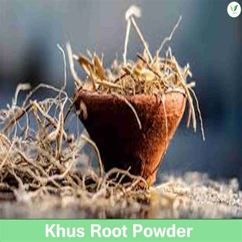 IAgriFarm 100% Natural Khus Root |Vettiver Root | Khus Root Powder 200 ...