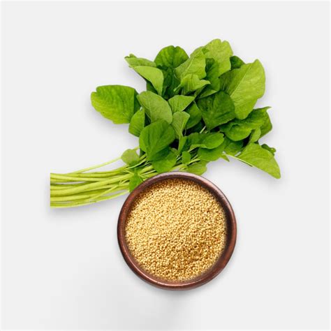 Buy green amaranthus cholai seeds 6gm online at best price