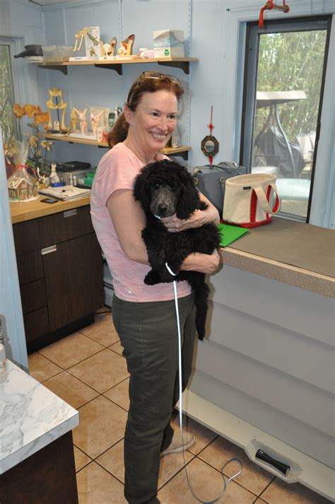 Emerald! – Morris Hills Veterinary Clinic