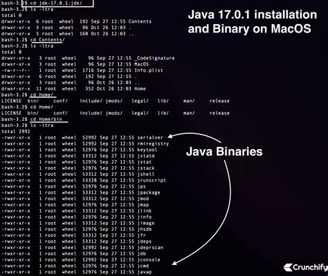 How to Start a Java Project in IntelliJ 的图像结果