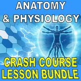 Image result for Crash Course Anatomy