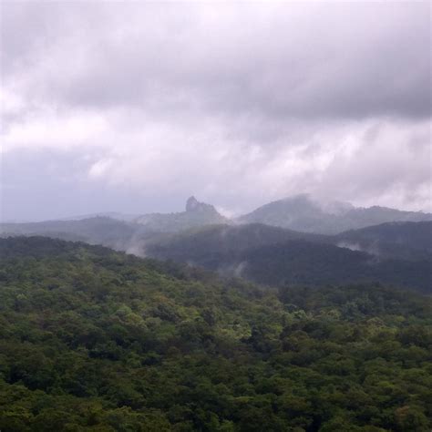 ARIPPA (2026) All You Need to Know BEFORE You Go (with Photos ...
