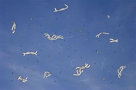 Image result for Eye Floater Types