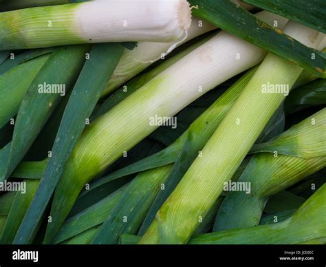 Green Leaks Vegetable Stock Photo - Alamy