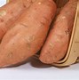 sweet potato 的图像结果